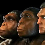 Un estudio plantea que los humanos evolucionaron el doble de rápido que los simios